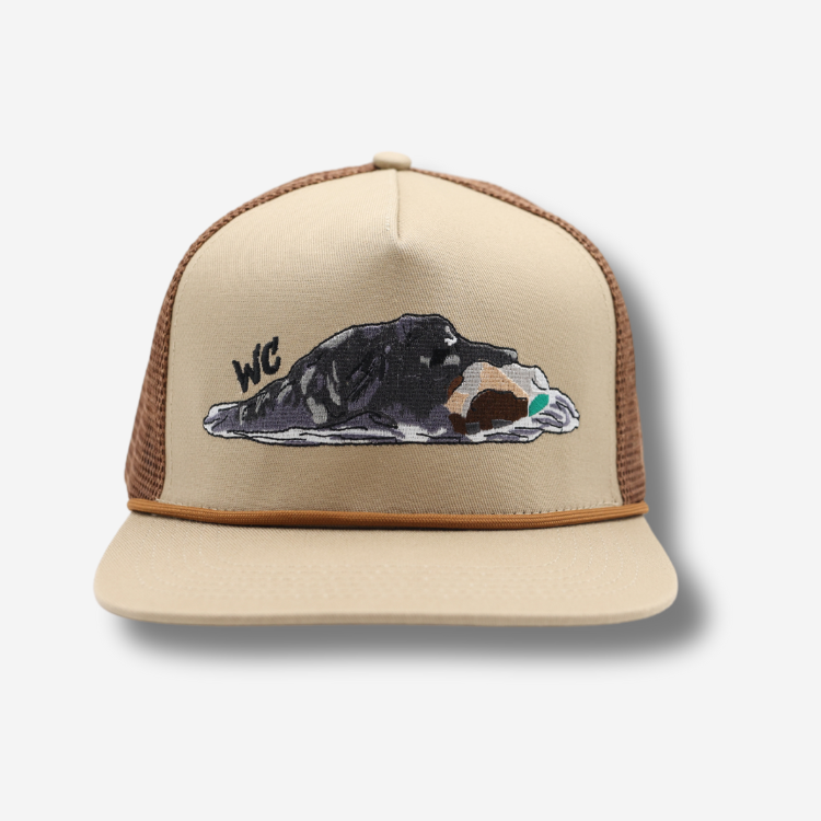 Tan Brown Fetch Em Up Trucker Hat